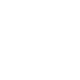 Atención profesional especializada